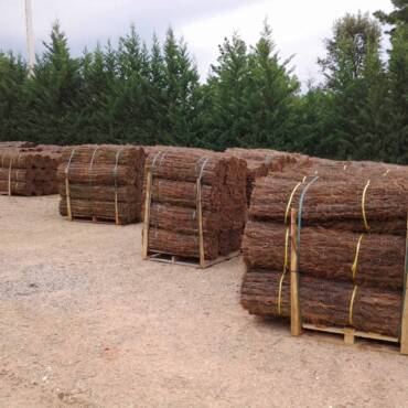 Pilons de bruc