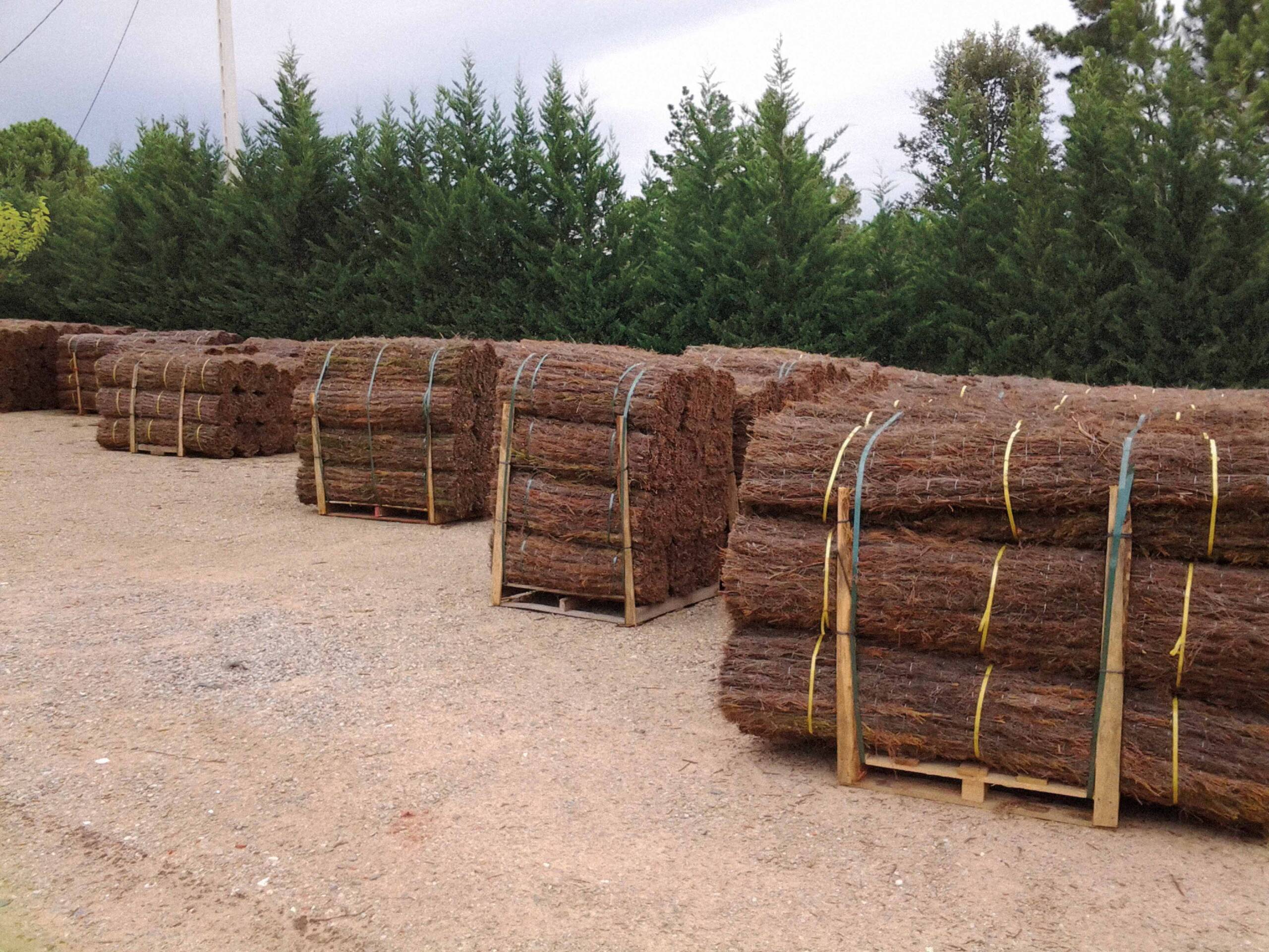 Pilons de bruc